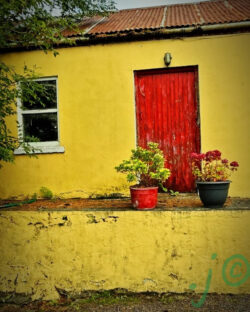 A Landmark at the Crossroads Shanacrane Cross, near Dunmanway Oil painting of a traditional Irish cottage with a bright red door located at Shanacrane Cross near the old creamery in Dunmanway, Co. Cork.